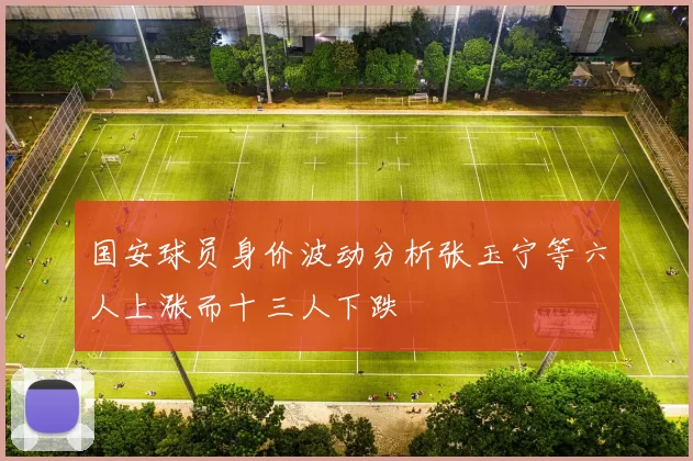 国安球员身价波动分析张玉宁等六人上涨而十三人下跌